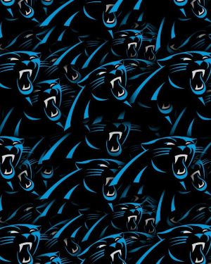 Carolina Panthers 23