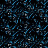 Carolina-Panthers-23.jpg