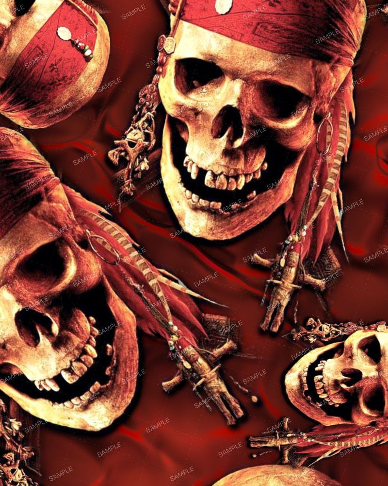 Carribean Pirates 42