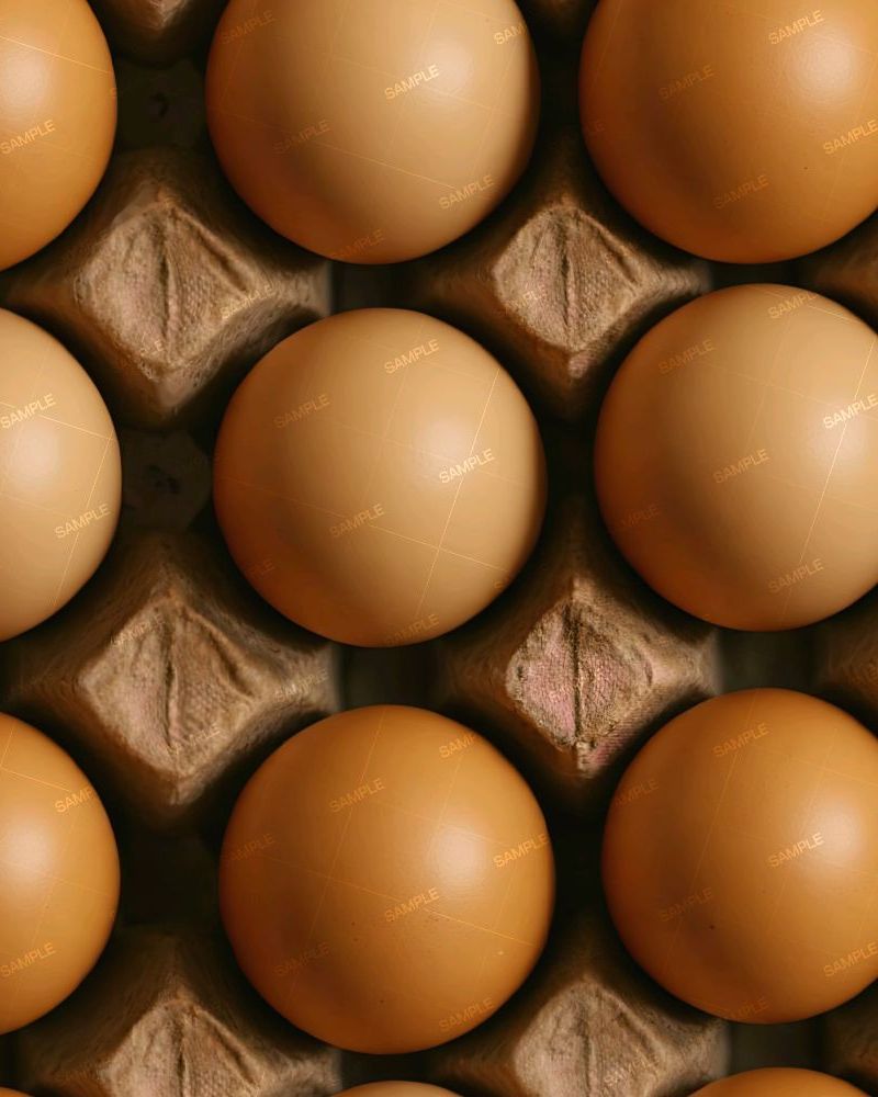 Carton of Eggs