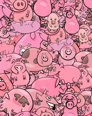 Cartoon Pigs