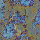 Case-Hardened-21.jpg