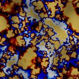 Case-Hardened-23.jpg