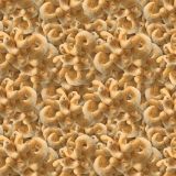 Cashews-23.jpg