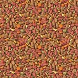 Cat-Food.jpg