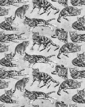 Cats Life Grayscale