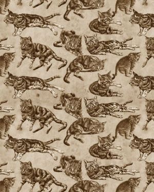 Cats Life Sepia