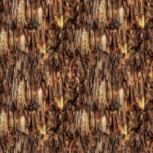 Cave Stalactites 23