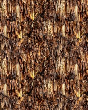 Cave Stalactites 23
