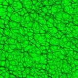 Cell-Level-19-thumb.jpg
