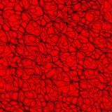 Cell-Level-20-thumb.jpg