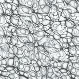 Cell-Level-21-thumb.jpg