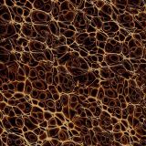 Cell-Level-23-thumb.jpg