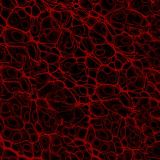 Cell-Level-26-thumb.jpg