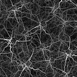 Central-Nervous-System-22-thumb.jpg