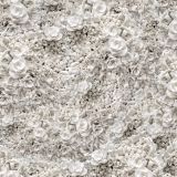Ceramic-Coral.jpg