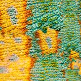Chameleon-Skin-24.jpg