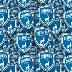 Chamois Niortais FC
