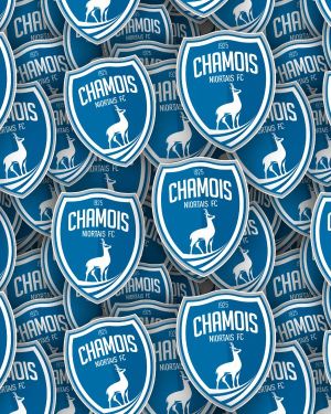 Chamois Niortais FC