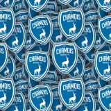 Chamois-Niortais-FC.jpg