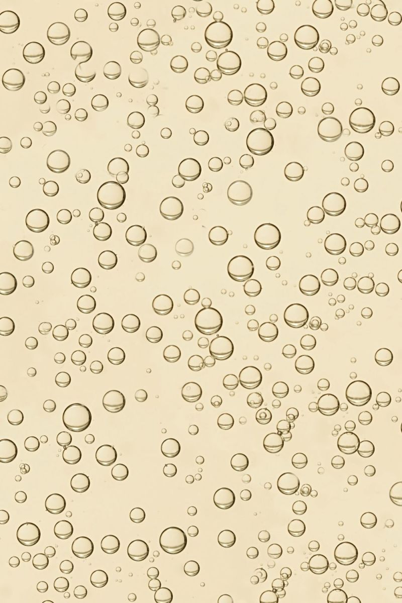 Champagne Bubbles 23