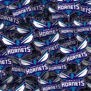Charlotte Hornets 22