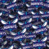 Charlotte-Hornets-22-thumb.jpg