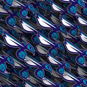 Charlotte Hornets 23