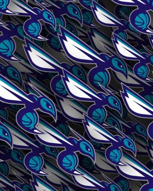 Charlotte Hornets 23