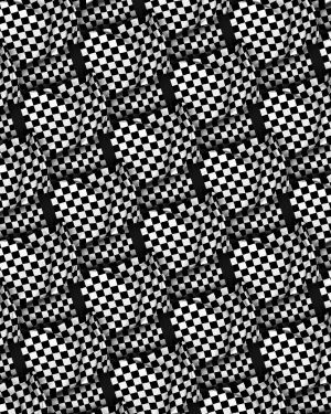 Checkered Flags 23