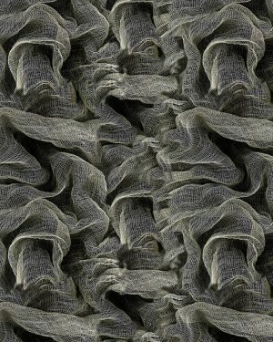 Cheese Cloth