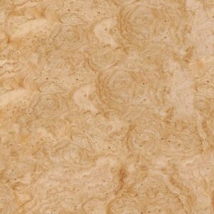 Chestnut Burl