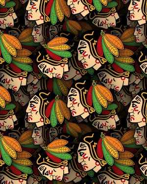 Chicago Blackhawks 22