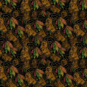 Chicago Blackhawks 24