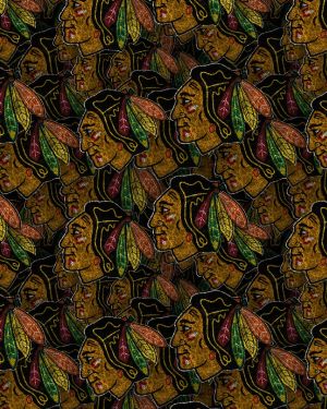 Chicago Blackhawks 24