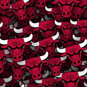 Chicago Bulls 22