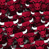 Chicago-Bulls-22-thumb.jpg