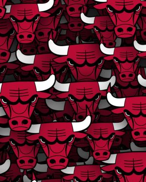 Chicago Bulls 23