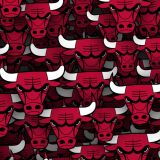 Chicago-Bulls-23-thumb.jpg