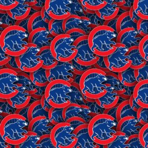 Chicago Cubs 24