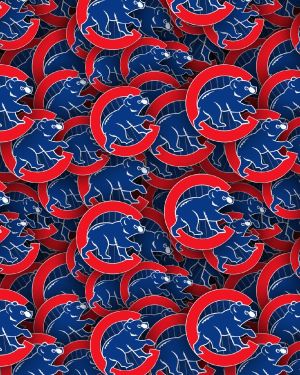Chicago Cubs 24
