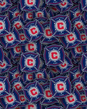 Chicago Fire 22