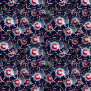 Chicago Fire 23