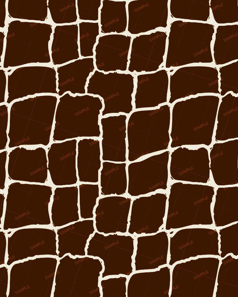 Chinese Crocodile 22