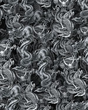 Chinese Dragon Fight