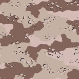 Chocolate-Chip-Desert-Storm-Camo-22-thumb-1.jpg