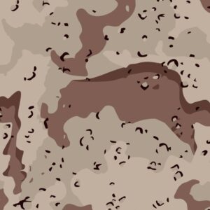 Chocolate Chip Desert Storm 23 Camouflage