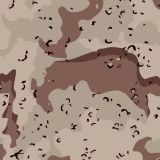 Chocolate-Chip-Desert-Storm-Camo-23-thumb-1.jpg
