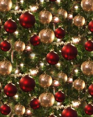 Christmas Trees 22