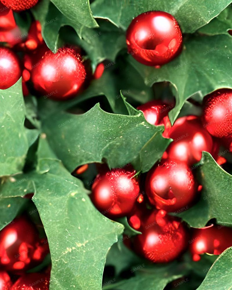 Christmas Holly Decorations